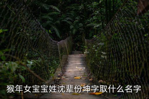 猴年女寶寶姓沈輩份坤字取什么名字