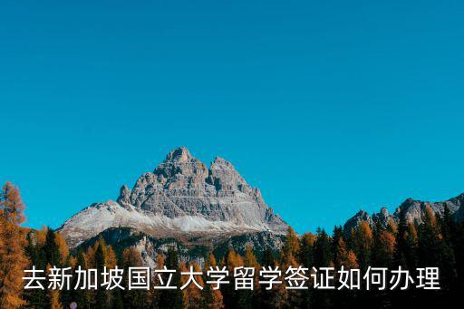 去新加坡國(guó)立大學(xué)留學(xué)簽證如何辦理