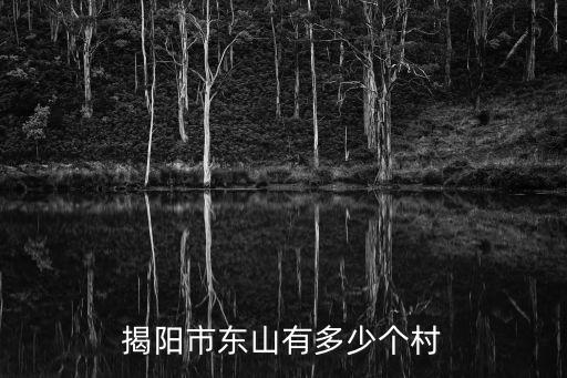 揭陽市東山有多少個村