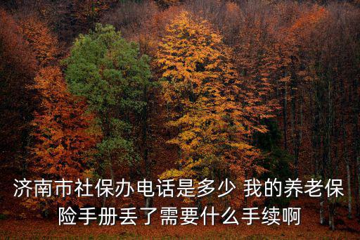 濟南市社保辦電話是多少 我的養老保險手冊丟了需要什么手續啊