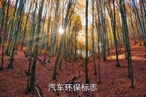 汽車環保標志