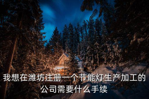 濰坊注冊(cè)公司，我想在濰坊注冊(cè)一個(gè)節(jié)能燈生產(chǎn)加工的公司需要什么手續(xù)
