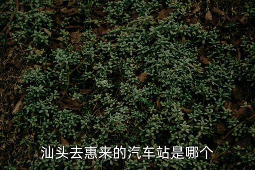 惠來站，汕頭去惠來的汽車站是哪個(gè)