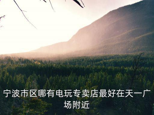 電玩專賣，上海有名的電玩店