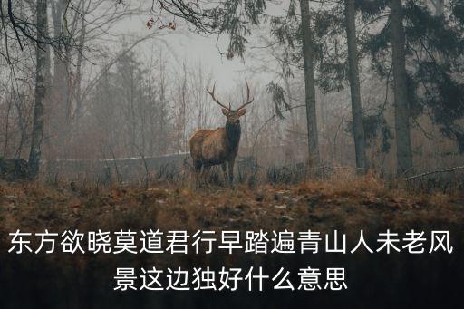 東方欲曉，東方欲曉的意思