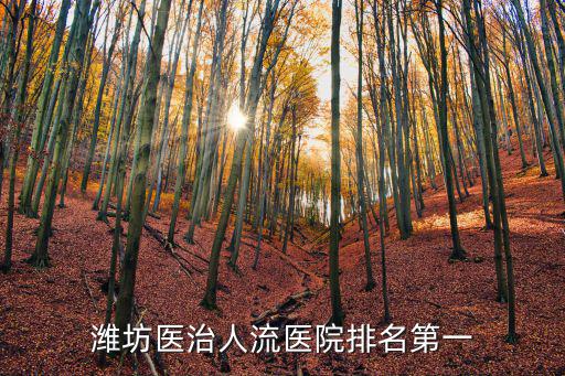 濰坊醫治人流醫院排名第一