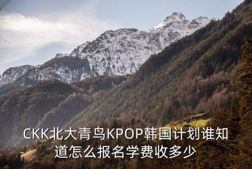 青鳥計劃，CKK北大青鳥KPOP韓國計劃誰知道怎么報名學費收多少