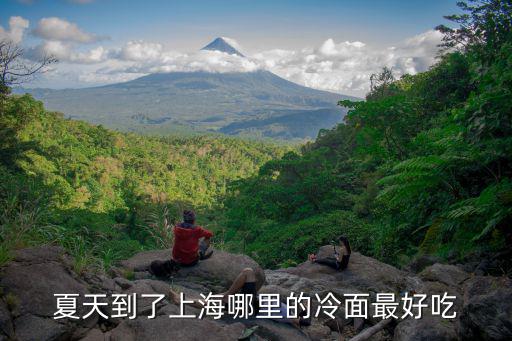 夏天到了上海哪里的冷面最好吃