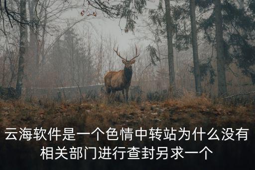 云海軟件是一個色情中轉站為什么沒有相關部門進行查封另求一個