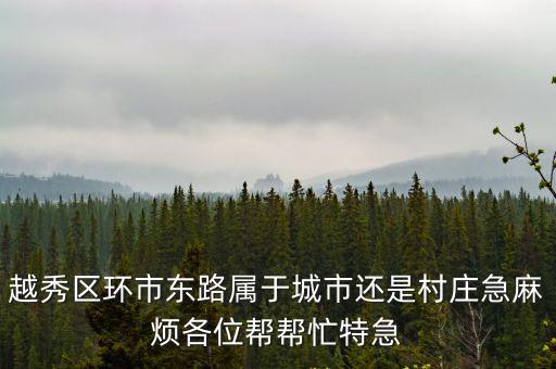越秀區環市東路屬于城市還是村莊急麻煩各位幫幫忙特急