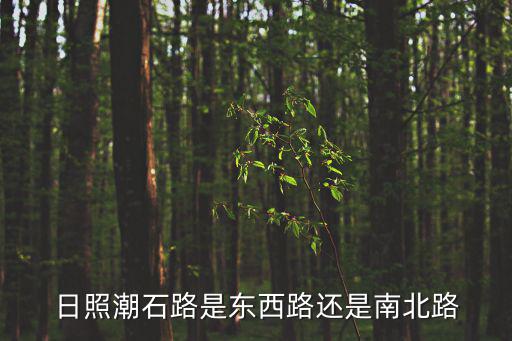 東西路，日照潮石路是東西路還是南北路