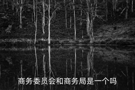 商務委員會和商務局是一個嗎