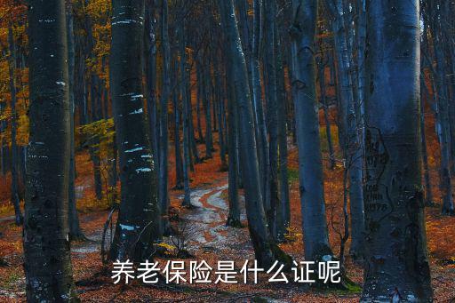 養(yǎng)老保險(xiǎn)是什么證呢