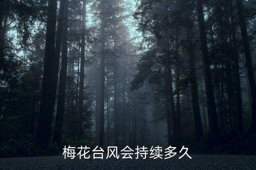 舟山臺風，舟山有幾級臺風