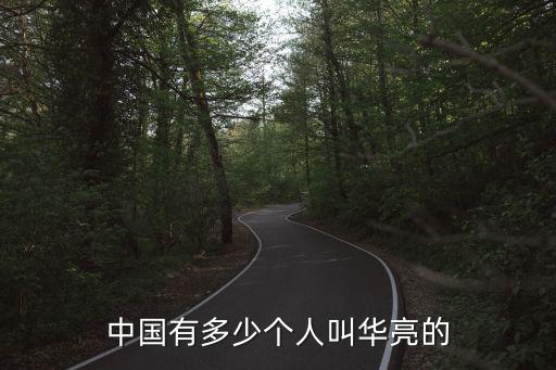 中國(guó)有多少個(gè)人叫華亮的