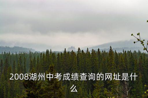 2008湖州中考成績查詢的網址是什么