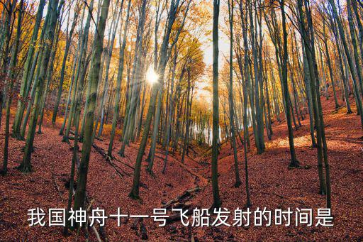 神舟十一號發射時間，神舟系列飛船發射時間