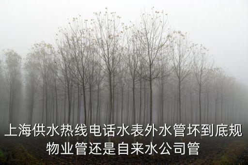 上海城投水務，上海欠繳水費
