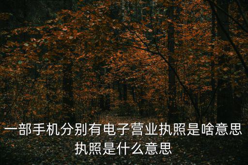 一部手機分別有電子營業(yè)執(zhí)照是啥意思執(zhí)照是什么意思