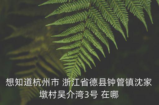 鐘管，08年全國千強(qiáng)鎮(zhèn)中浙江德清鐘管排第幾