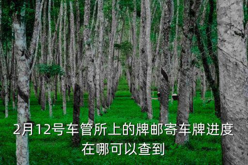 2月12號車管所上的牌郵寄車牌進度在哪可以查到