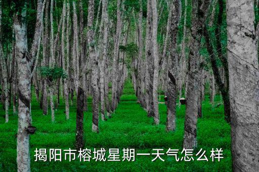 揭陽(yáng)市榕城星期一天氣怎么樣