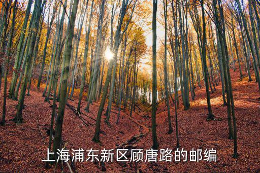上海浦東新區顧唐路的郵編
