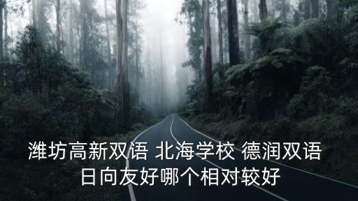 濰坊高新雙語學校，濰坊高新雙語 北海學校 德潤雙語 日向友好哪個相對較好