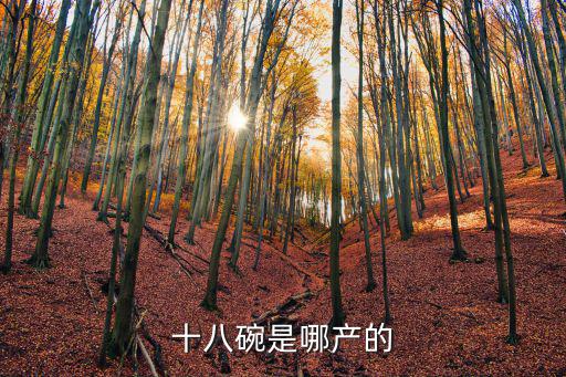 十八碗是哪產(chǎn)的