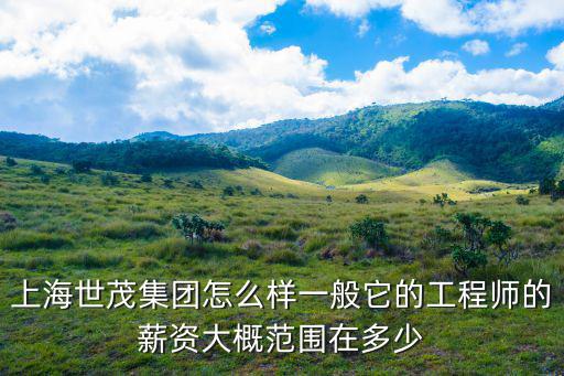 上海世茂集團怎么樣一般它的工程師的薪資大概范圍在多少