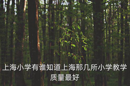 上海最好的小學，上海市楊浦區(qū)中原地區(qū)比較好的小學