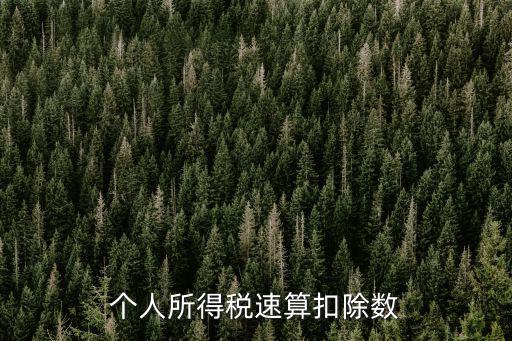 個人所得稅速算扣除數