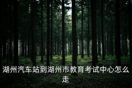 湖州汽車站到湖州市教育考試中心怎么走