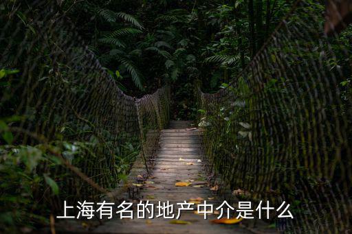 上海有名的地產中介是什么
