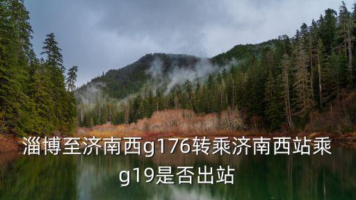 淄博至濟南西g176轉(zhuǎn)乘濟南西站乘g19是否出站