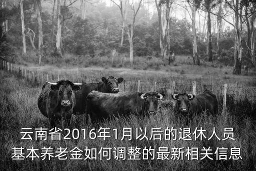 云南省2016年1月以后的退休人員基本養老金如何調整的最新相關信息