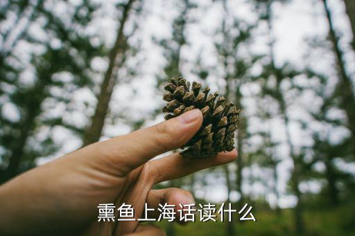 熏魚上海話讀什么