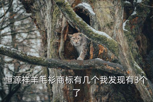 恒源祥羊毛衫商標(biāo)有幾個(gè)我發(fā)現(xiàn)有3個(gè)了