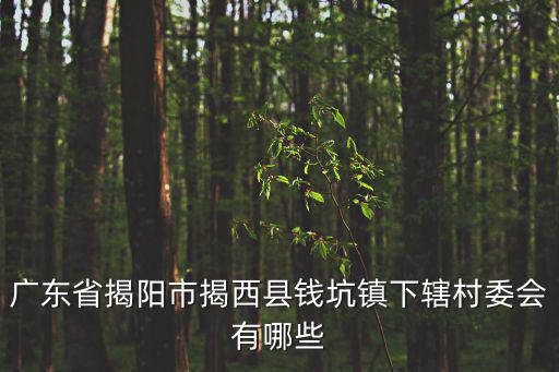 廣東省揭陽市揭西縣錢坑鎮下轄村委會有哪些