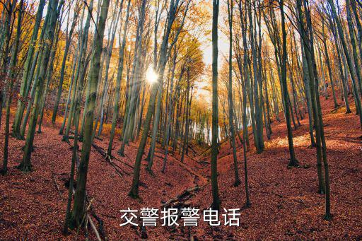 交警報警電話