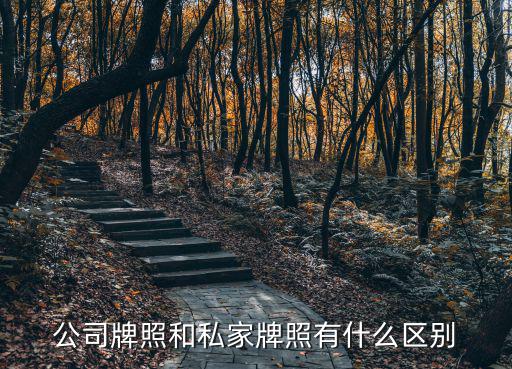 公司牌照，公司牌照和私家牌照有什么區別