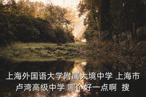 上海外國語大學(xué)附屬大境中學(xué) 上海市盧灣高級中學(xué) 哪個好一點(diǎn)啊  搜