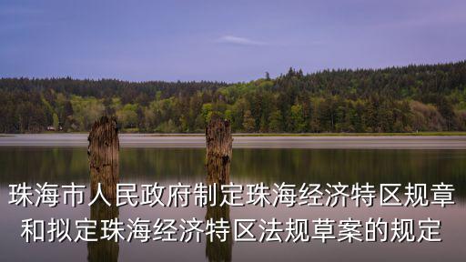 珠海市人民政府制定珠海經濟特區規章和擬定珠海經濟特區法規草案的規定