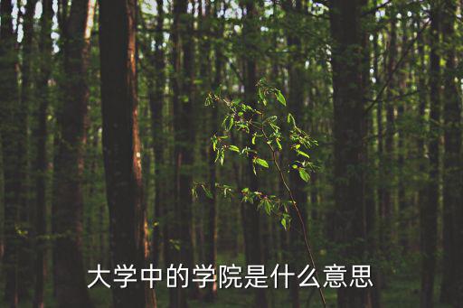 大學中的學院是什么意思