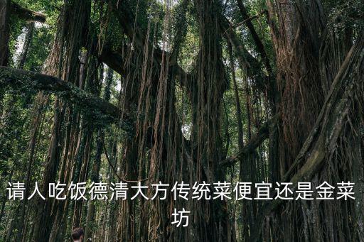 請人吃飯德清大方傳統菜便宜還是金菜坊
