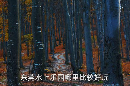 東莞水上樂園哪里比較好玩