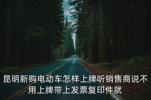 電動(dòng)車怎么上牌，電動(dòng)車上牌在哪里上