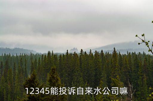 12345能投訴自來水公司嘛