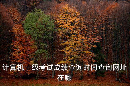 計算機一級考試成績查詢時間查詢網址在哪