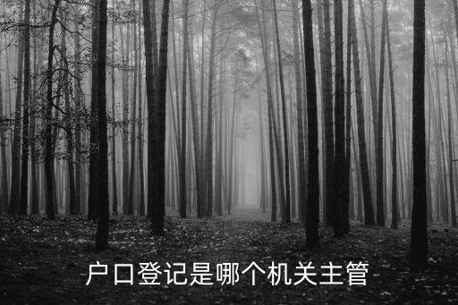 戶口登記機(jī)關(guān)，戶口登記機(jī)關(guān)在哪里